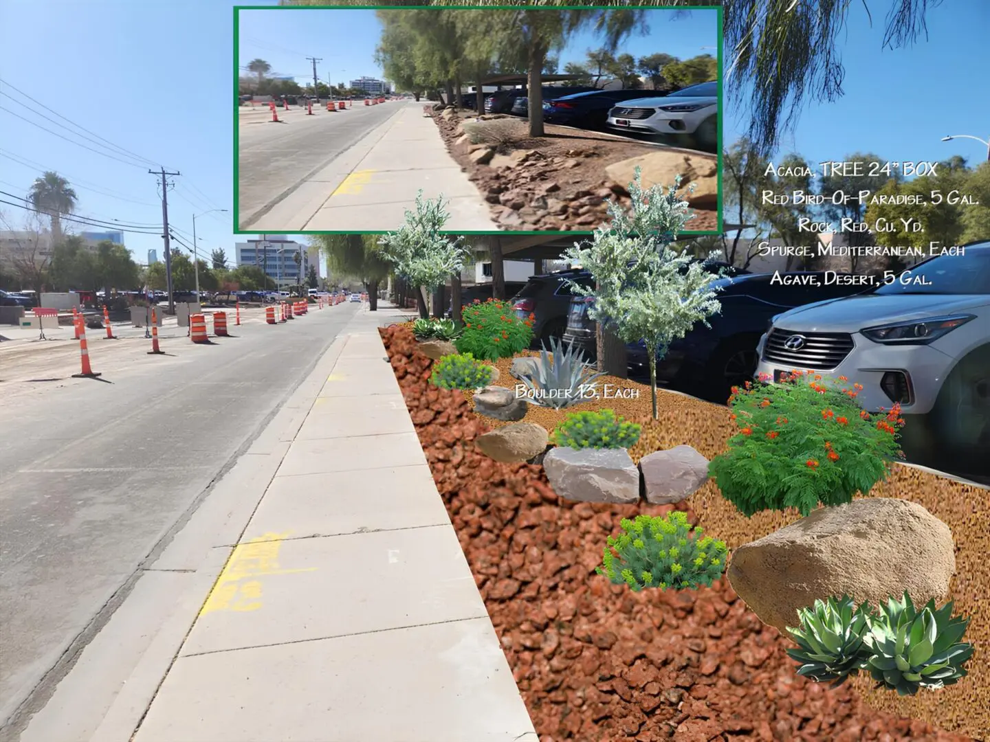Street landscaping with trees and plants.