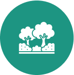 Trees and bushes icon on green circle.