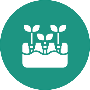 Sprouting plants in a teal circle icon.