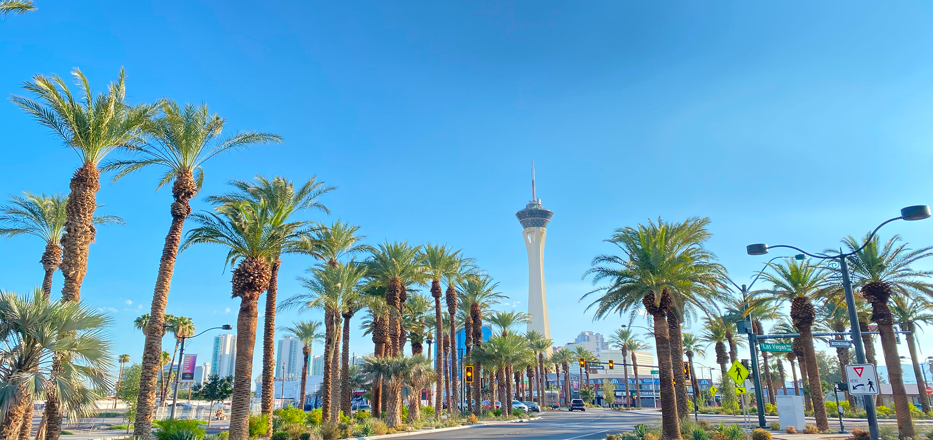 Palm trees and tower under blue sky.