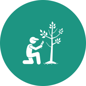 Person planting tree icon on green background.