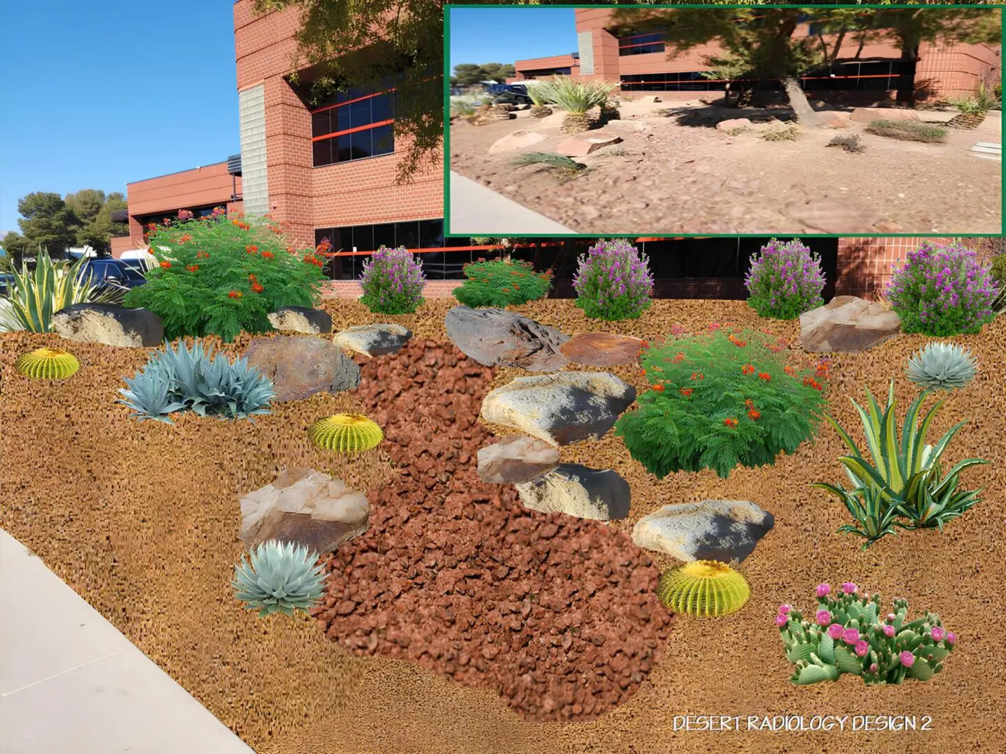 Desert landscaping with rocks and succulents.