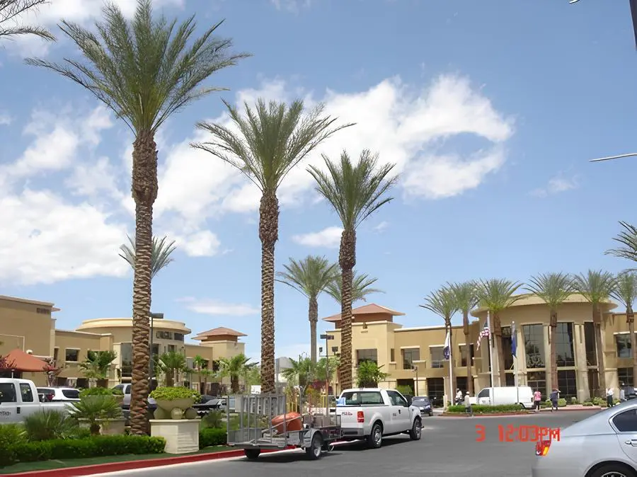 Palm trees and buildings under clear sky.
