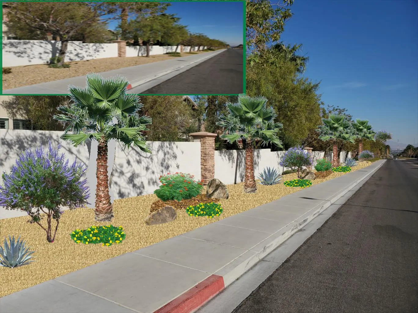 Desert landscaping along suburban street sidewalk.