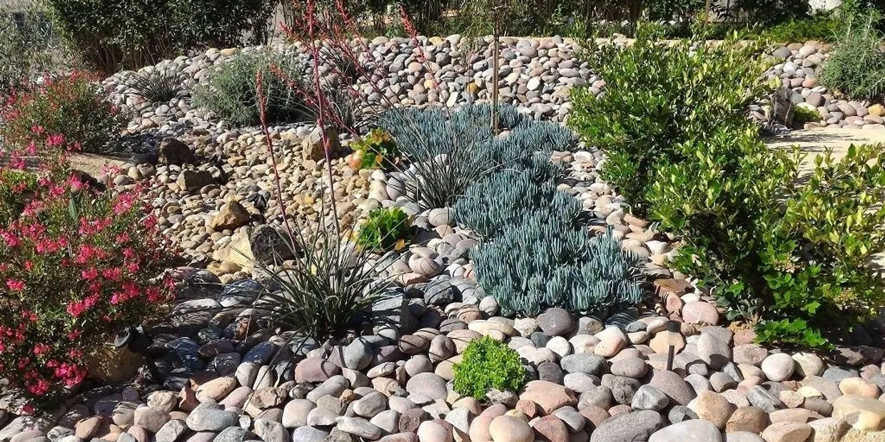 Rock garden with various colorful plants.